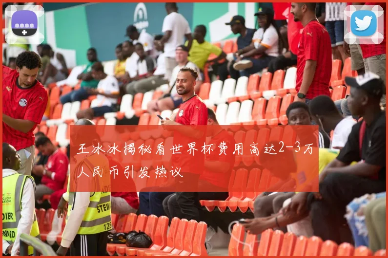 王冰冰揭秘看世界杯费用高达2-3万人民币引发热议