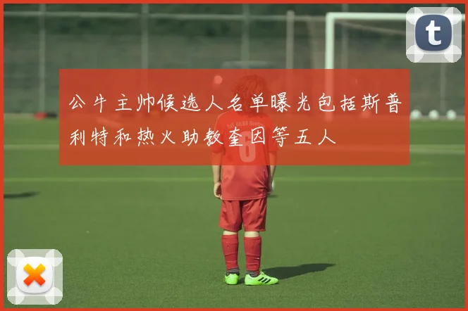 公牛主帅候选人名单曝光包括斯普利特和热火助教奎因等五人