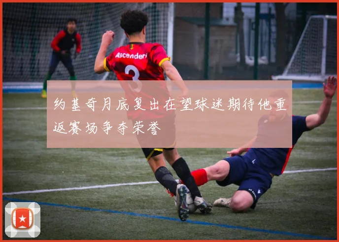 约基奇月底复出在望球迷期待他重返赛场争夺荣誉